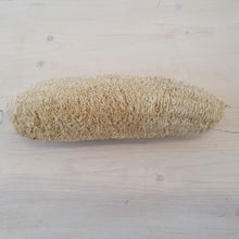 Load image into Gallery viewer, Loofah
