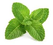 Load image into Gallery viewer, Dried Herbs- Peppermint 20grm
